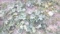 /album/fotogaleria/dsc-0168-jpg/