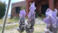 /album/fotogaleria/er-jpg/